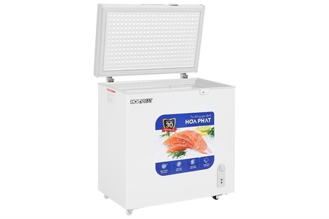 Tủ đông Hòa Phát 162 lít HPF AD6162