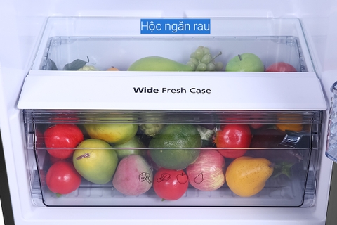 Tủ lạnh Panasonic Inverter 366 Lít NR-TL381GPKV