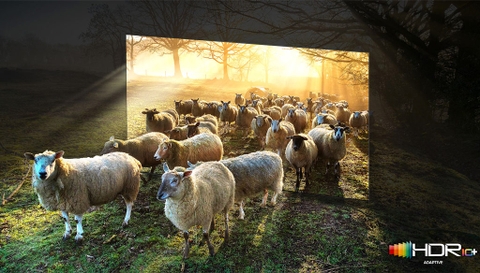 Smart Tivi Neo QLED 8K 85 inch Samsung 85QN900A