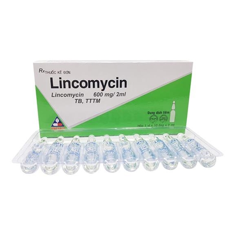 Lincomicin 600mg/2ml -Vinphaco