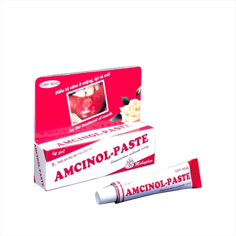 Amcinol Paste - Mekophar