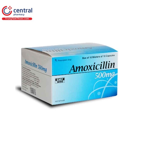 Amoxicillin 0,5 g - Hà Tây