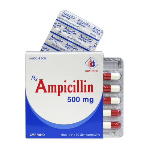 Ampicilin MKP 500mg - mekophar