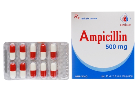 Ampicilin MKP 500mg - mekophar