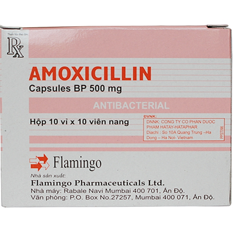 Amoxicylin 500mg (Flamigo) - ấn Độ