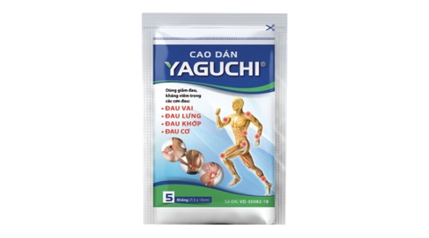 Cao dán Yaguchi