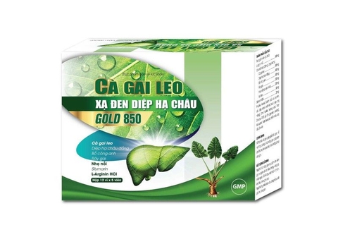 Cà gai leo xạ đen diệp hạ châu Gold 850 H/12 vỉ/5 viên