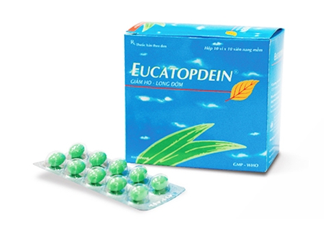 Eucatopdein 100 viên nang K/6000 viên H/10 vỉ/10 viên - Hà Tây