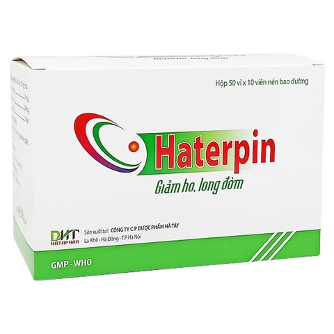 Haterpin - Hà Tây