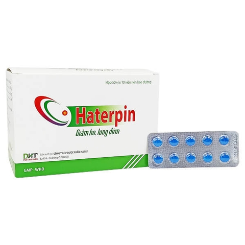 Haterpin - Hà Tây