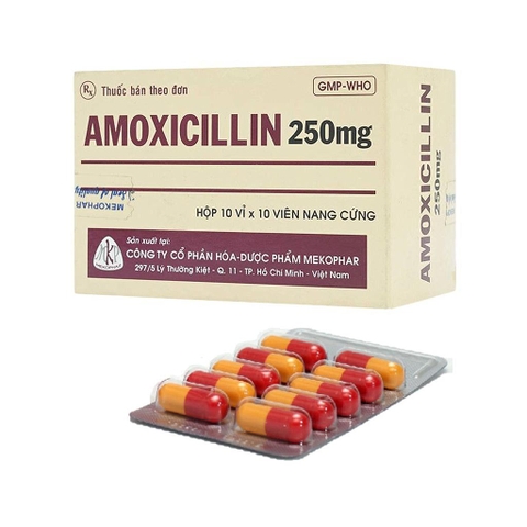 Amoxicilin 250mg - Mekophar (viên)