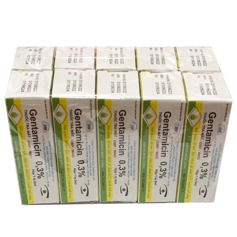 Gentamicin 0,3% - DP Hà Nội