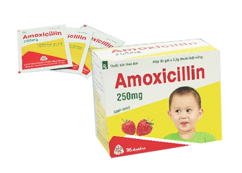 Amoxycilin 250mg - Mekophar
