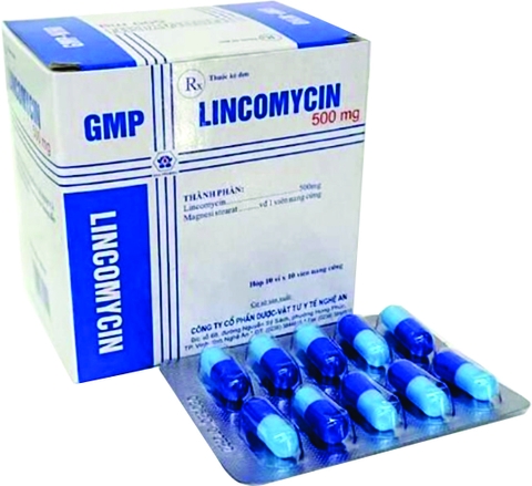 Lincomycin