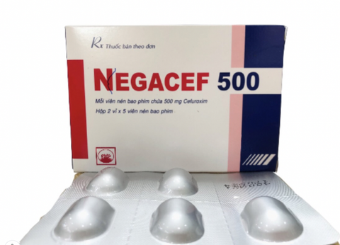 Negacef 500 mg H/10 - Phú yên