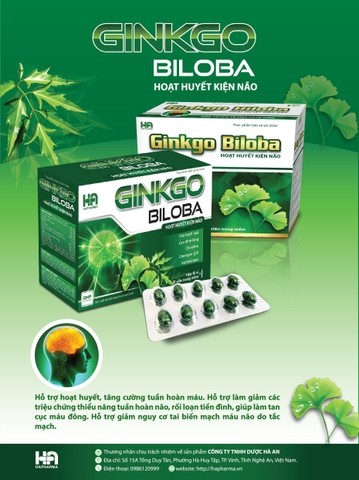 Ginkgo Biloba Hoạt huyết kiện não