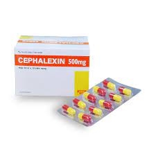 Cephalexin 500 mg - Hà Tây
