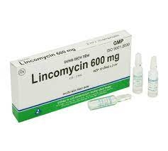 Lincomicin 600mg/2ml -Vinphaco