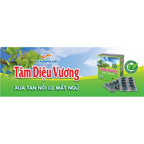 Tâm diệu vương K/58 H/10v/10v - Hà Tĩnh