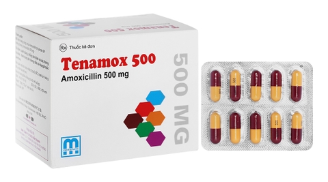 Tenamox 500 - Medopharm - India