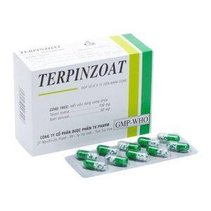 Terpin zoat hạt v/10 K/60h/100 - Trà Vinh