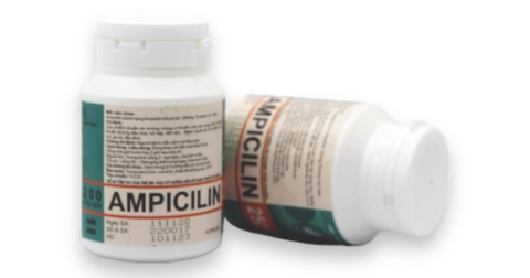 Ampicilin 250mg - Tw1