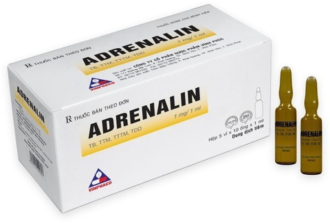 Adrenalin -Vinphaco