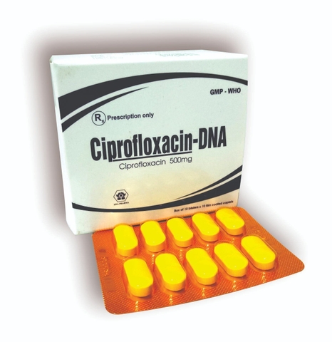 Ciprofloxacin-DNA
