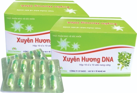 Xuyên Hương DNA