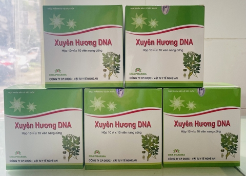 Xuyên hương DNA K/69H/10 vỉ/10 VNC