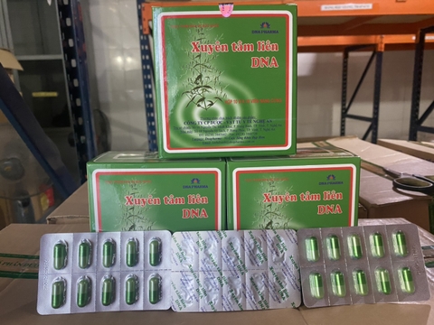 Xuyên tâm liên DNA K/69H/10 vỉ/10 VNC