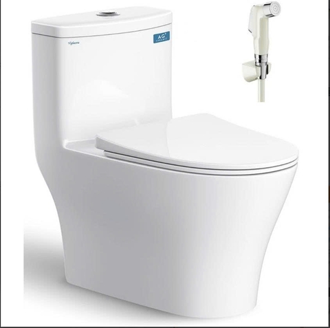 Bồn cầu khối Viglacera V36