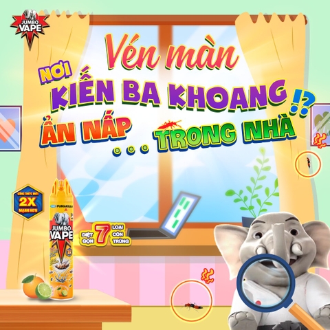 VÉN MÀN NƠI KIẾN BA KHOANG ẨN NẤP TRONG NGÔI NHÀ MÌNH!