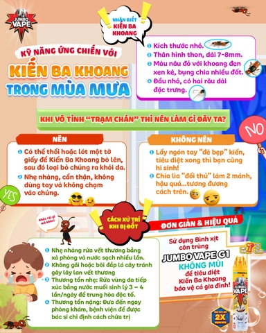 CẢ NHÀ CÓ BIẾT: KỸ NĂNG ỨNG CHIẾN VỚI KIẾN BA KHOANG TRONG MÙA MƯA!!!