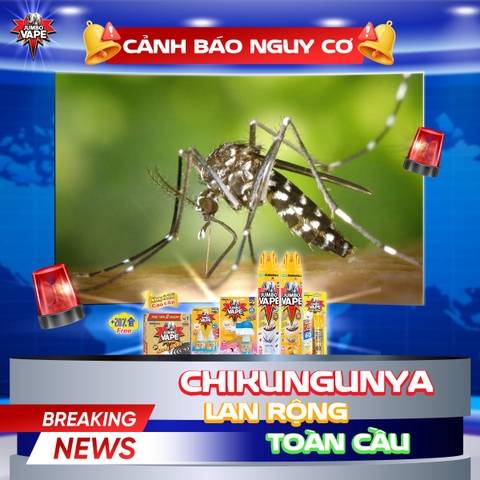 CẢNH BÁO NGUY CƠ CHIKUNGUNYA LAN RỘNG