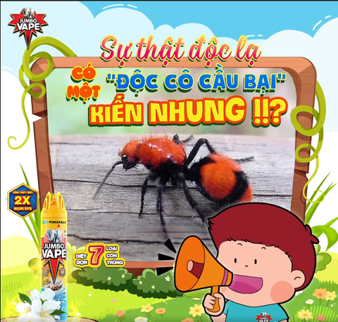 SỰ THẬT ĐỘC LẠ: “ĐỘC CÔ CẦU BẠI” TÊN KIẾN NHUNG