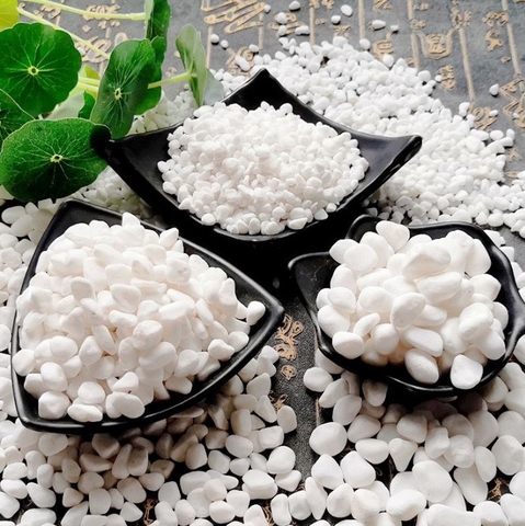 (500g) Đá sỏi trắng trang trí | Tada Craft
