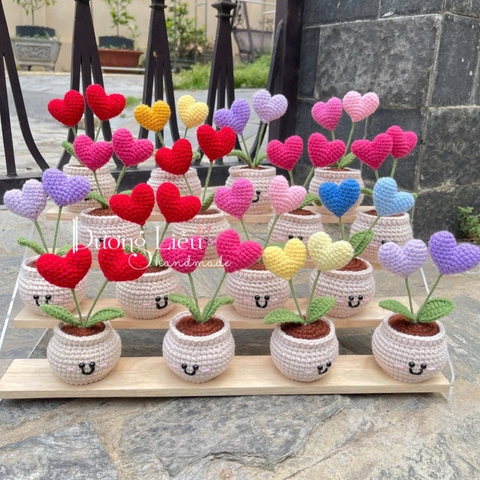 Chậu hoa len trái tim đôi