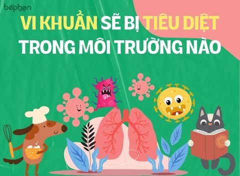 AN TOÀN THỰC PHẨM TRONG CHẾ BIẾN THỨC ĂN CHO THÚ CƯNG