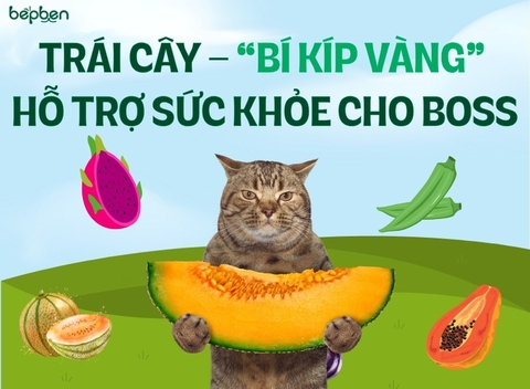 TRÁI CÂY 