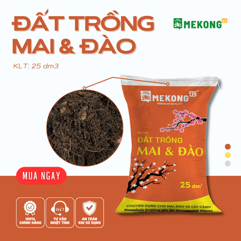 Đất Trồng Mai & Đào Mekong TTS 25dm3