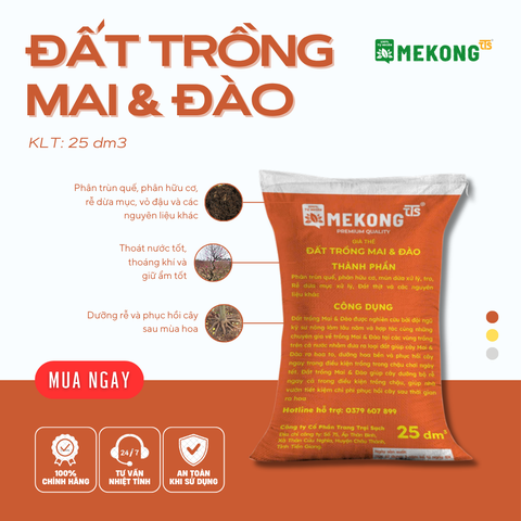 Đất Trồng Mai & Đào Mekong TTS 25dm3