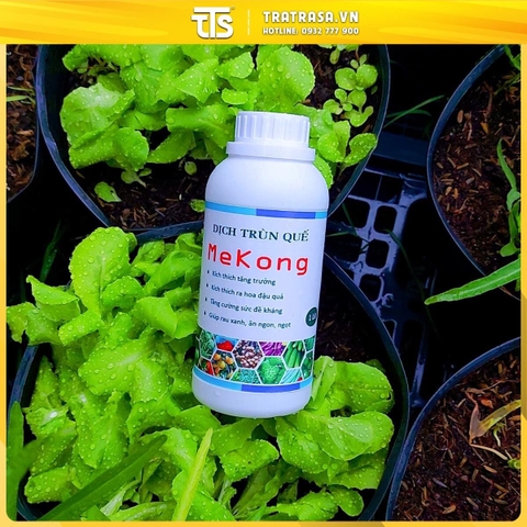 Dịch trùn quế Mekong TTs 0.5L