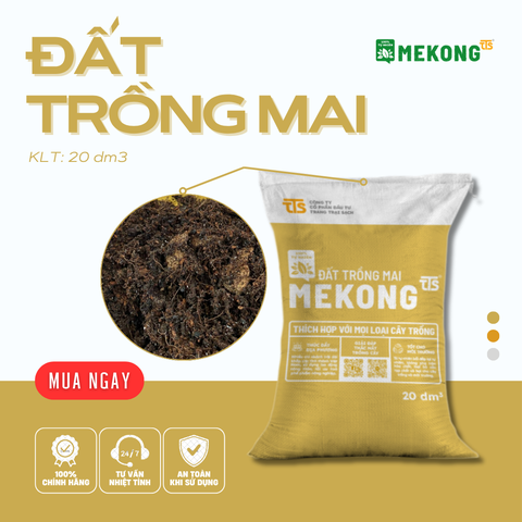 Đất Trồng Mai Mekong TTS 20dm3