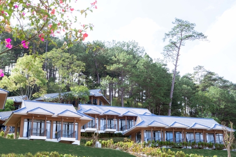 TEA RESORT