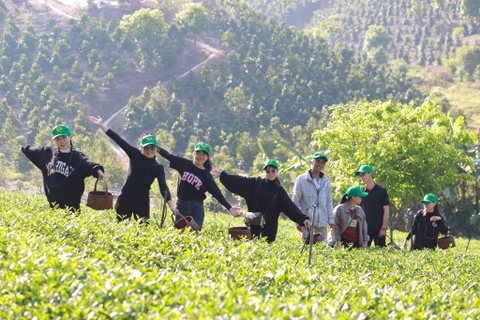 Bảo tàng trà Long Đỉnh