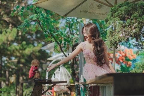 hoa rừng coffee