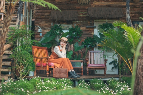 Hoa rừng coffee