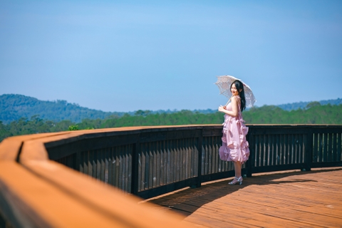 LAVENDER DALAT