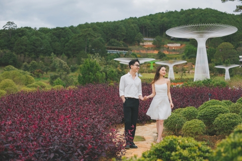 LAVENDER DALAT